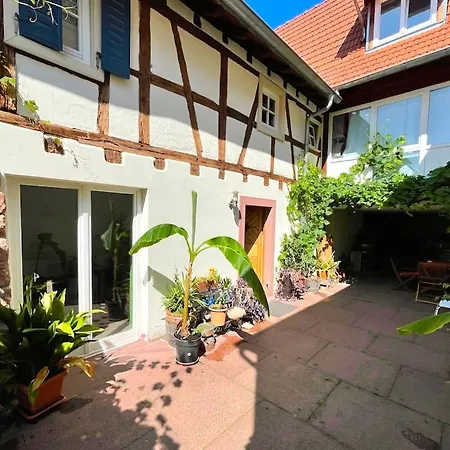 Schlafgut-freytag Pfaelzer Bu Apartamento *